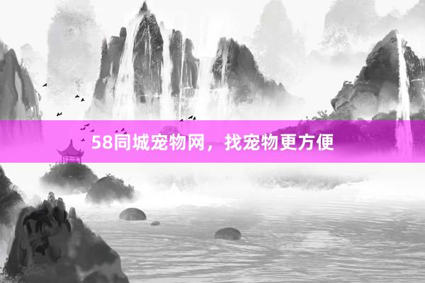 58同城宠物网，找宠物更方便